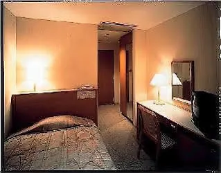Central Hotel Tokyo 3*,  Japan